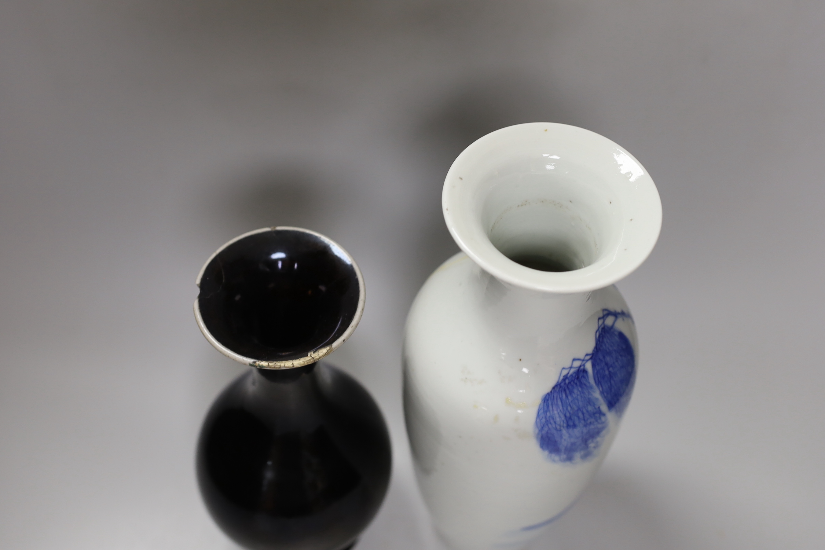 A Chinese mirror-black glazed vase, 18th century and a 19th century Chinese blue and white 'horses' vase, tallest 30cm